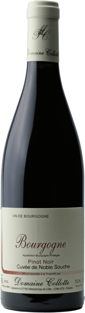 Bourgogne « Cuvée de Noble Souche »