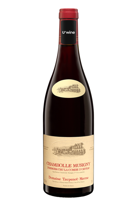 Chambolle-Musigny 1er Cru « Combe d’Orveau »
